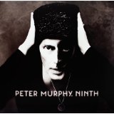 MURPHY PETER