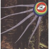 TREEFIGHT FOR SUNLIGHT