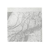 THOUGHT BROADCAST THOUGHT BROADCAST