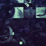 VILDHJARTA VILDHJARTA