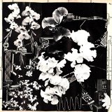 PHIZMIZ ERGO PHIZMIZ ERGO