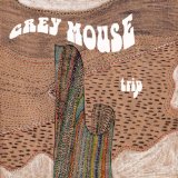 GREY MOUSE