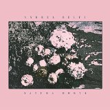 BELFI ANDREA BELFI ANDREA