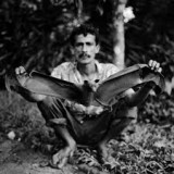 LOBO NORBERTO