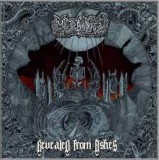 MORBIDITY MORBIDITY