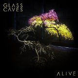 GLASS CAVES