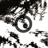 MORPHOSE