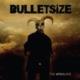BULLETSIZE