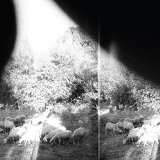 GODSPEED YOU BLACK EMPEROR