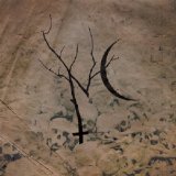 NETTLECARRIER NETTLECARRIER