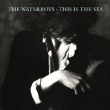 WATERBOYS WATERBOYS