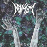 NOISEM NOISEM