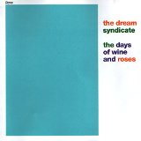 DREAM SYNDICATE