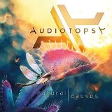 AUDIOTOPSY