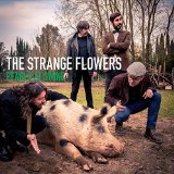 STRANGE FLOWERS