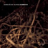 ECHOS & DUST BUNNIES