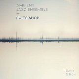 AMBIENT JAZZ ENSEMBLE