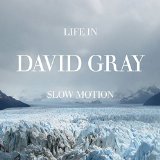 GRAY DAVID