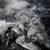 APHONIC THRENODY APHONIC THRENODY