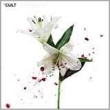 CULT