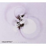 HALO EFFECT