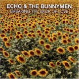 ECHO & THE BUNNYMEN