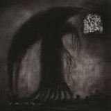 SHADES OF THE BLACK SKY