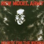 NEW MODEL ARMY
