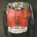 NEW MODEL ARMY
