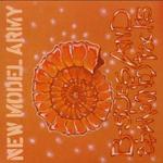 NEW MODEL ARMY