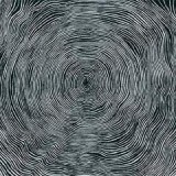 BLEEDING HEART PIGEONS