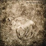 THIRD EYE FOUNDATION THIRD EYE FOUNDATION