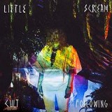 LITTLE SCREAM
