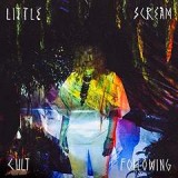 LITTLE SCREAM