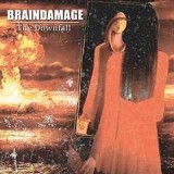 BRAINDAMAGE