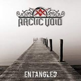 ARCTIC VOID