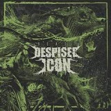 DESPISED ICON