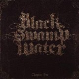 BLACK SWAMP WATER