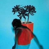 LOCAL NATIVES