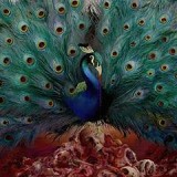 OPETH OPETH