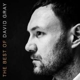 GRAY DAVID