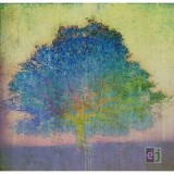 JOHNSON ERIC JOHNSON ERIC