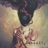 LUCID FLY