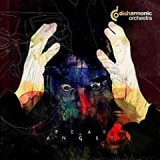 DISHARMONIC ORCHESTRA