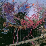 ANIMAL COLLECTIVE ANIMAL COLLECTIVE