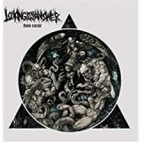 LOOKING FOR AN ANSWER