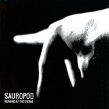 SAUROPOD