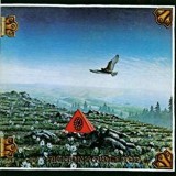 YOUNGBLOODS YOUNGBLOODS