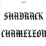 SHADRACK CHAMELEON