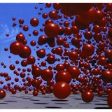 CRANBERRIES
